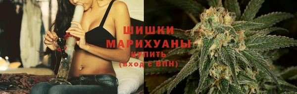 индика Елабуга