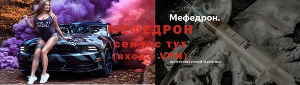 шишки Ельня
