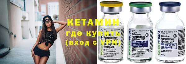 шишки Ельня