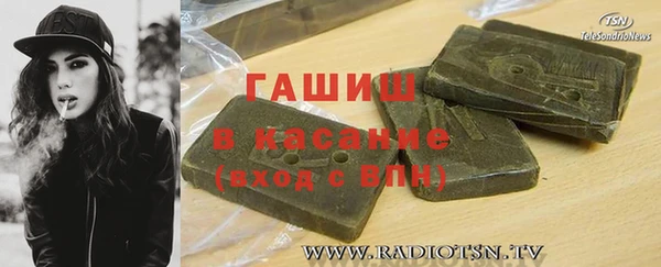 индика Елабуга