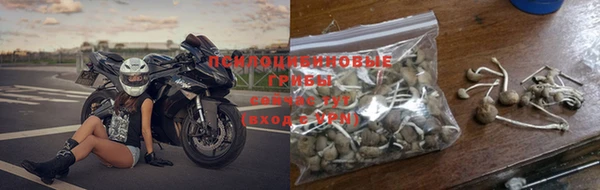 шишки Ельня
