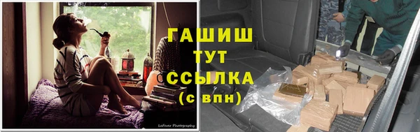 шишки Ельня