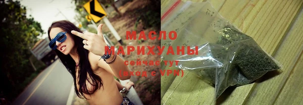 индика Елабуга