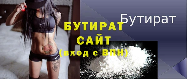 индика Елабуга