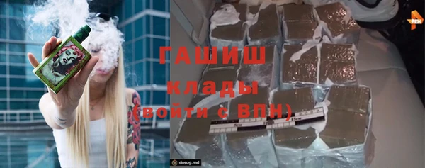 шишки Ельня