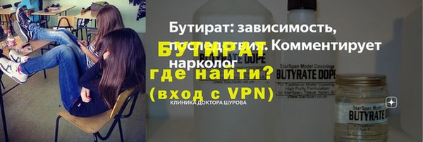 шишки Ельня