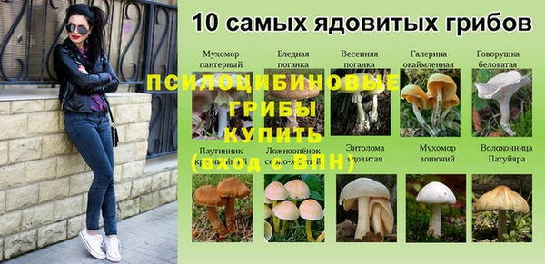 трава Елизово