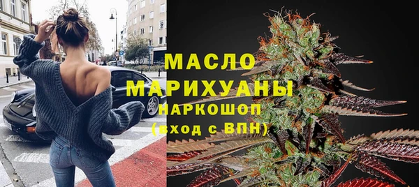 шишки Ельня