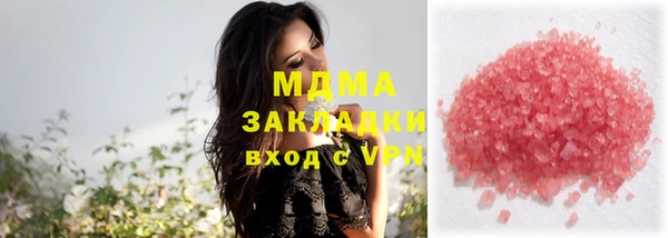 шишки Ельня