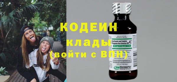 индика Елабуга