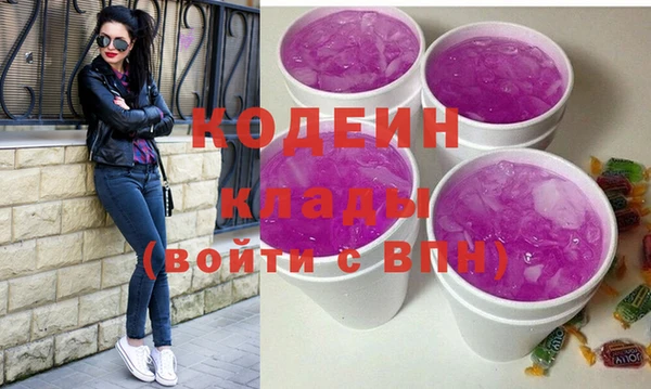 индика Елабуга
