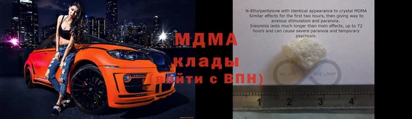 индика Елабуга