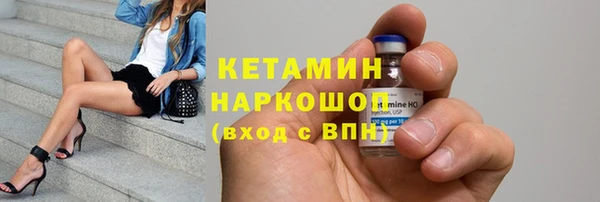шишки Ельня