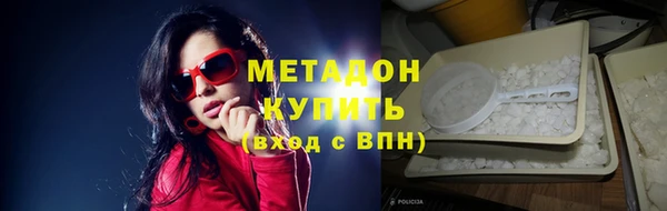 шишки Ельня