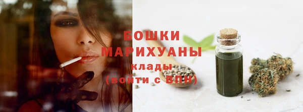 индика Елабуга