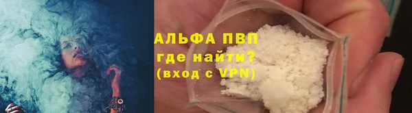 шишки Ельня