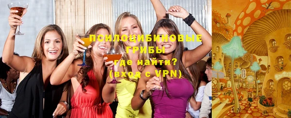 трава Елизово