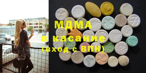 индика Елабуга