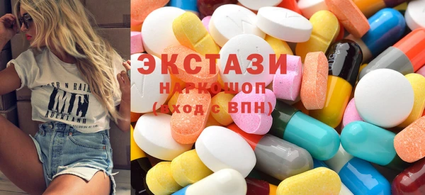 индика Елабуга