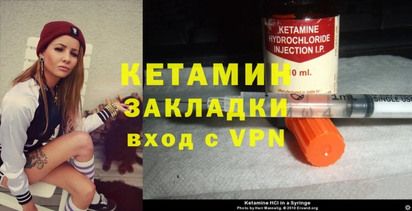 шишки Ельня