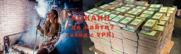 шишки Ельня