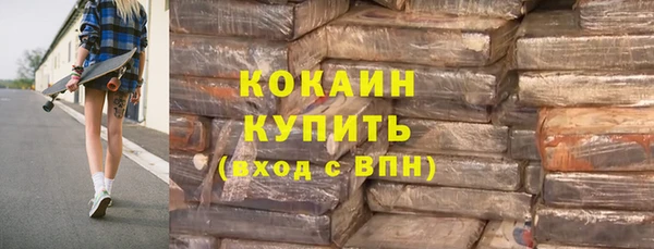 шишки Ельня