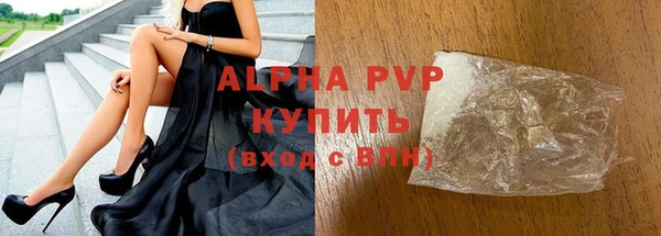 индика Елабуга