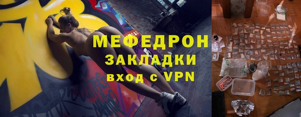 шишки Ельня