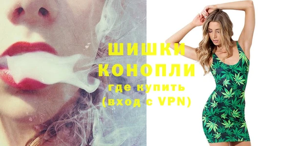 индика Елабуга