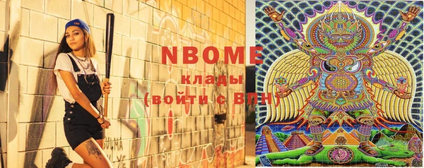индика Елабуга