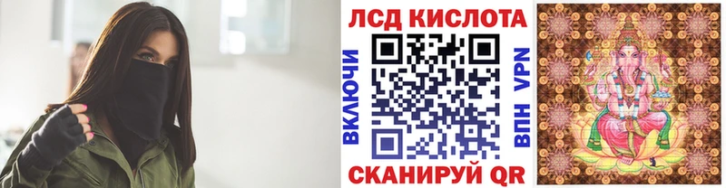 Купить закладки  Змеиногорск  Марки NBOMe 1,8мг 