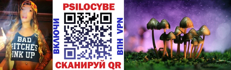 Купить закладки  Змеиногорск  Псилоцибиновые грибы мухоморы 